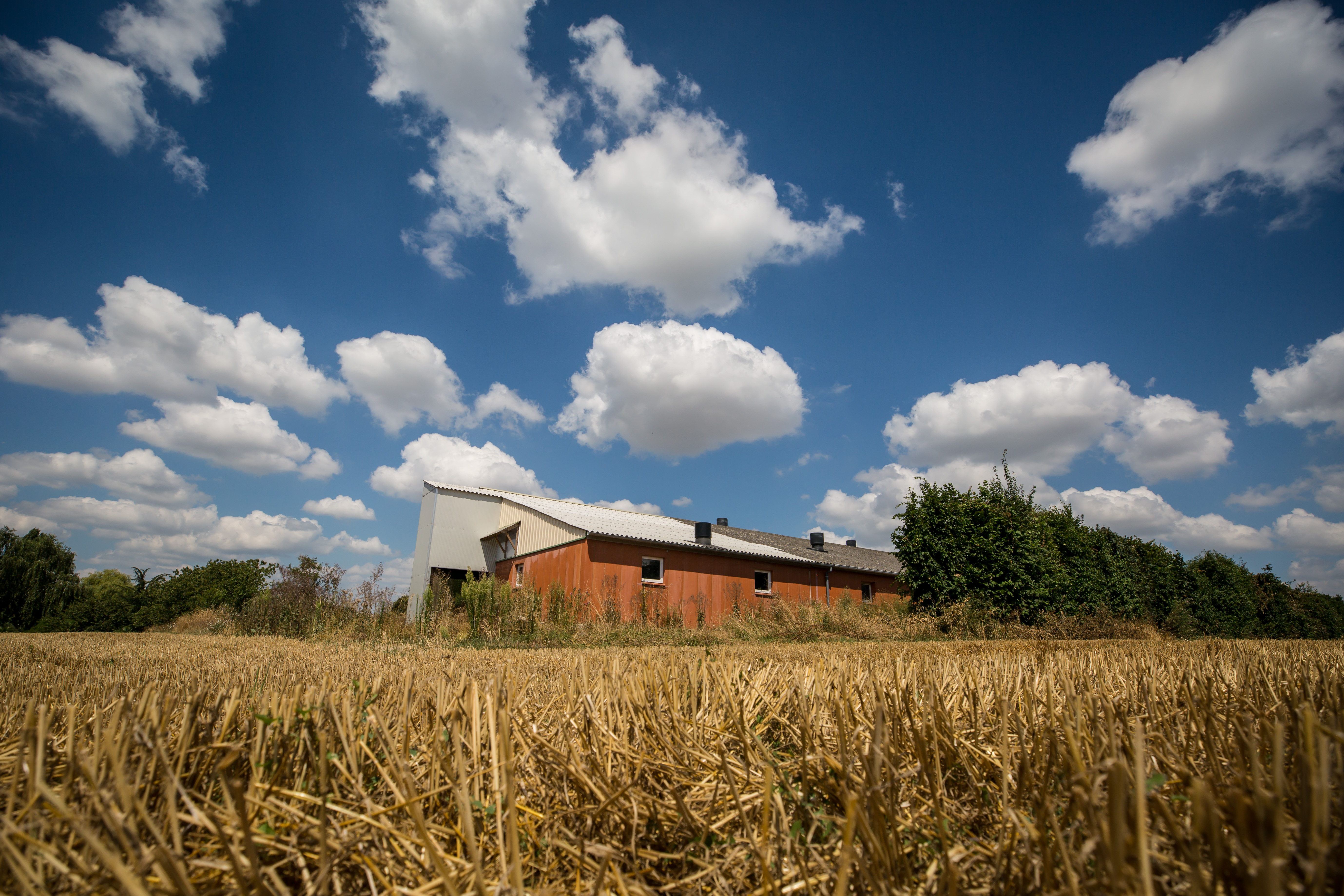 Tribune des syndicats agricoles sur les retraites