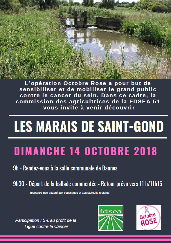 Les Marais de Saint-Gond