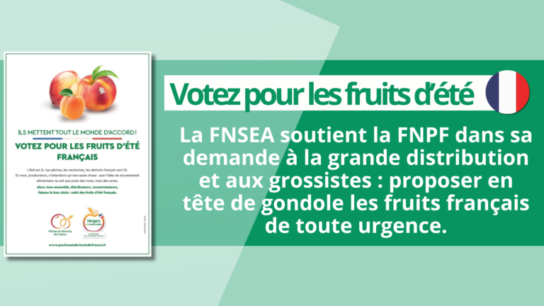 La FNSEA soutient la FNPF dans sa demande à la grande distribution et aux grossistes : proposer en tête de gondole les fruits français de toute urgence